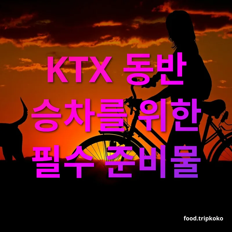 반려동물 여행 - KTX 반려동물 이동가방 알아보기 반려동물 여행 KTX 반려동물 이동가방 알아보기 관련 이미지