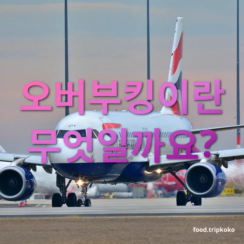 항공 예약 초과 - 오버부킹의 정의와 발생 배경 항공 예약 초과 오버부킹의 정의와 발생 배경 관련 이미지