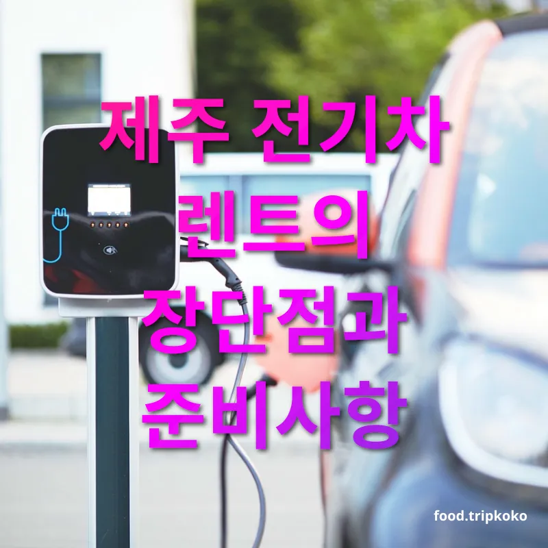 전기차 렌트 전기차 렌트의 장점 관련 이미지