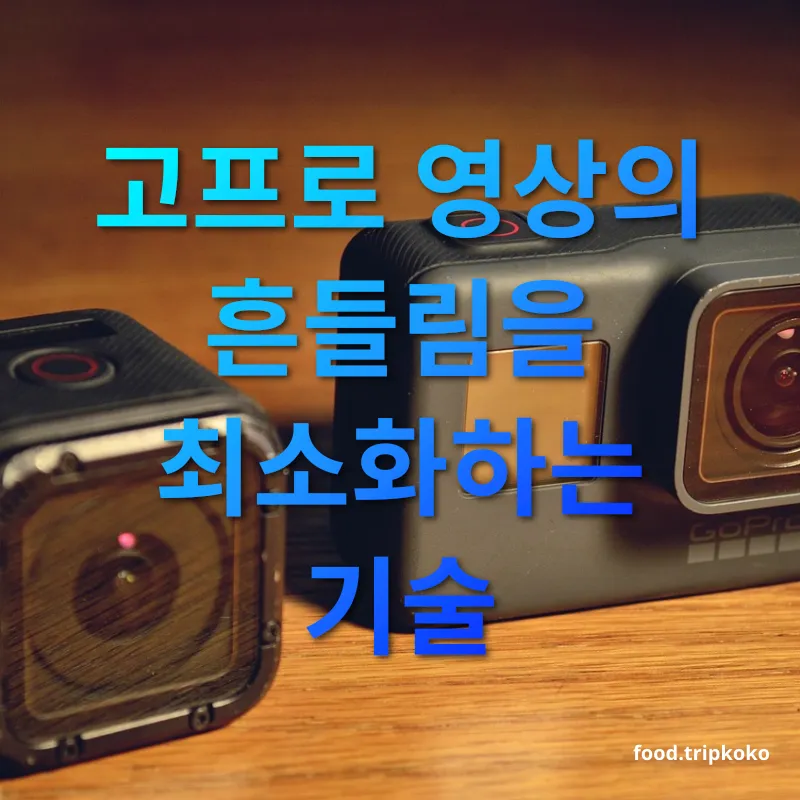 고프로 영상 촬영 고프로 영상의 흔들림을 최소화하는 기술 관련 이미지