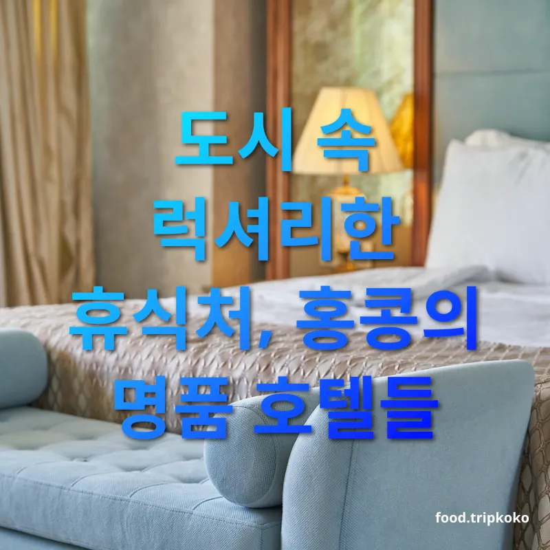 세계 최고의 호텔 - 도시 속 럭셔리한 휴식처, 홍콩의 명품 호텔들 세계 최고의 호텔 도시 속 럭셔리한 휴식처, 홍콩의 명품 호텔들 관련 이미지