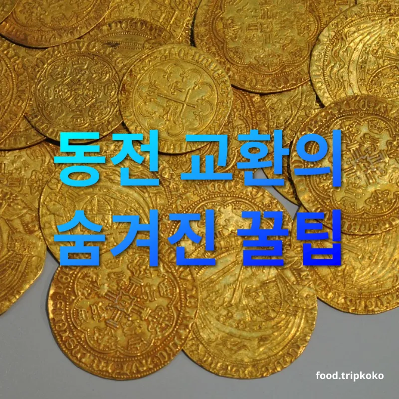 여행 후 동전 관리 동전 교환의 숨겨진 꿀팁 관련 이미지