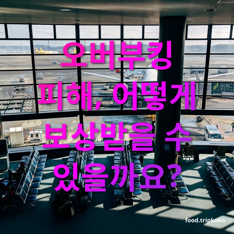 항공 예약 초과 - 오버부킹 피해, 어떻게 보상받을 수 있을까요? 항공 예약 초과 오버부킹 피해, 어떻게 보상받을 수 있을까요? 관련 이미지