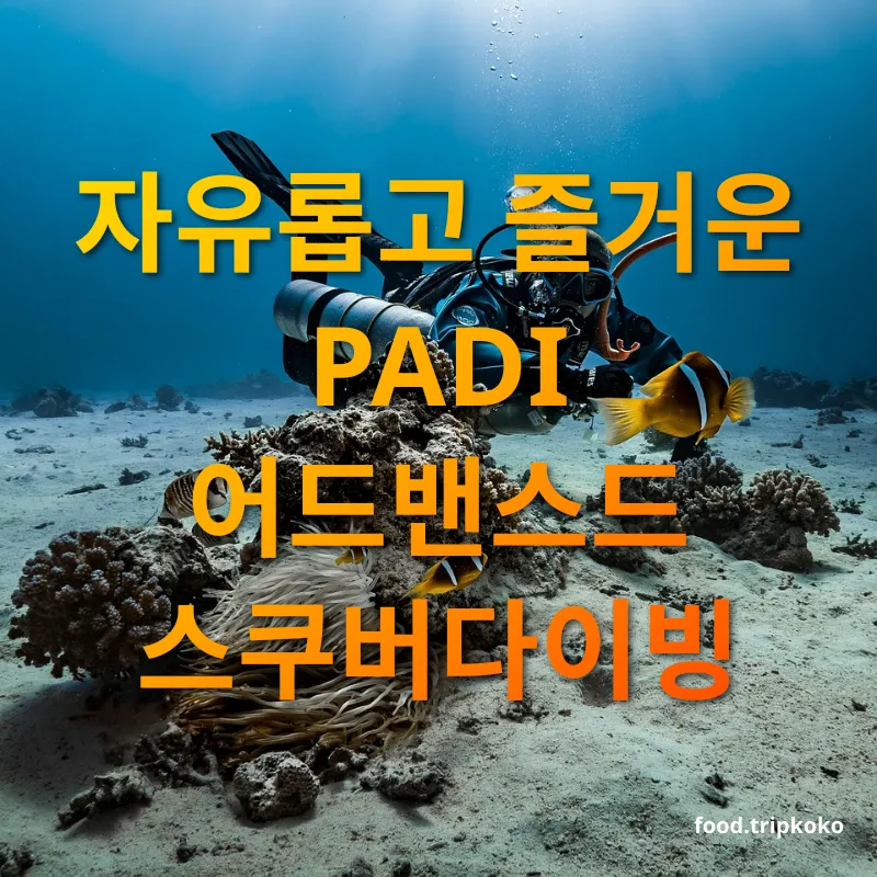 스쿠버다이빙 자격증 - 자유롭고 즐거운 PADI 어드밴스드 스쿠버다이빙 스쿠버다이빙 자격증 자유롭고 즐거운 PADI 어드밴스드 스쿠버다이빙 관련 이미지