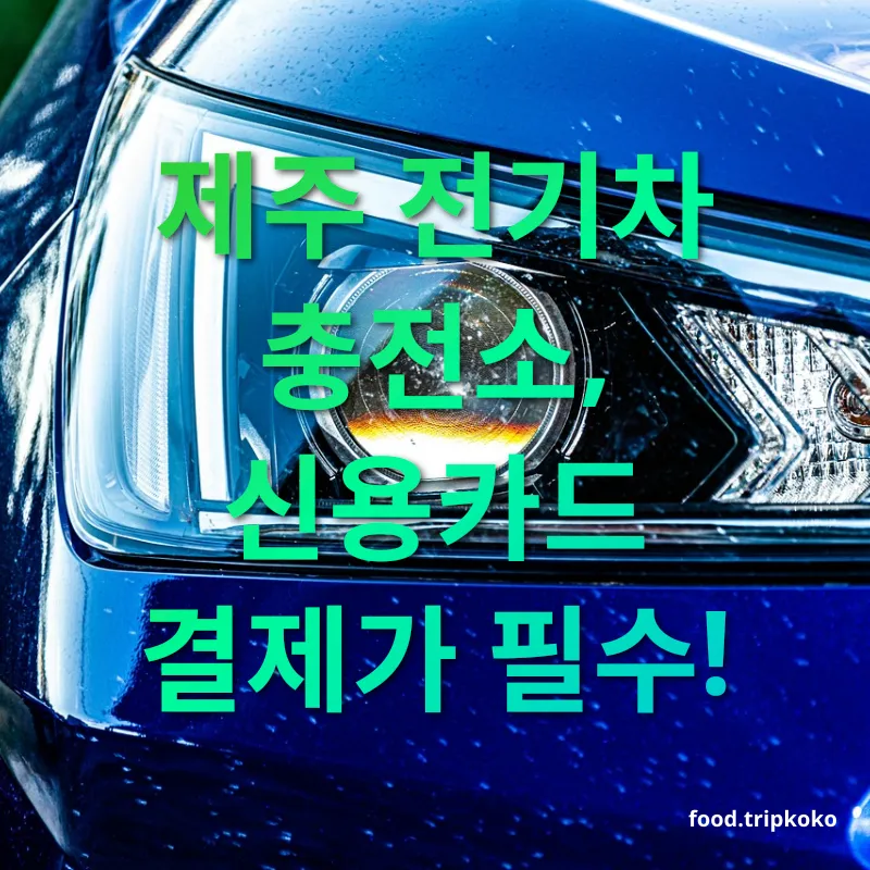 전기차 렌트 제주 전기차 충전소, 신용카드 결제가 필수! 관련 이미지