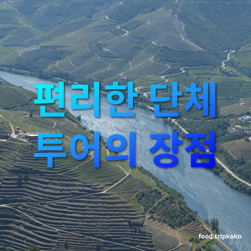 와인 여행 편리한 단체 투어의 장점 관련 이미지