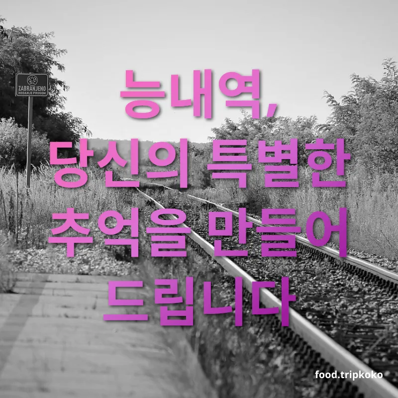 폐역 여행 - 능내역, 당신의 특별한 추억을 만들어 드립니다 폐역 여행 능내역, 당신의 특별한 추억을 만들어 드립니다 관련 이미지
