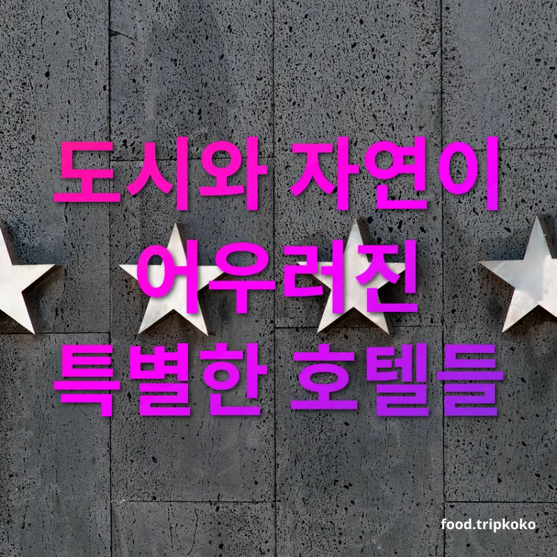 세계 최고의 호텔 - 도시와 자연이 어우러진 특별한 호텔들 세계 최고의 호텔 도시와 자연이 어우러진 특별한 호텔들 관련 이미지