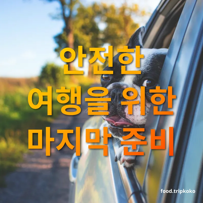 반려동물 여행 - 안전한 여행을 위한 마지막 준비 반려동물 여행 안전한 여행을 위한 마지막 준비 관련 이미지