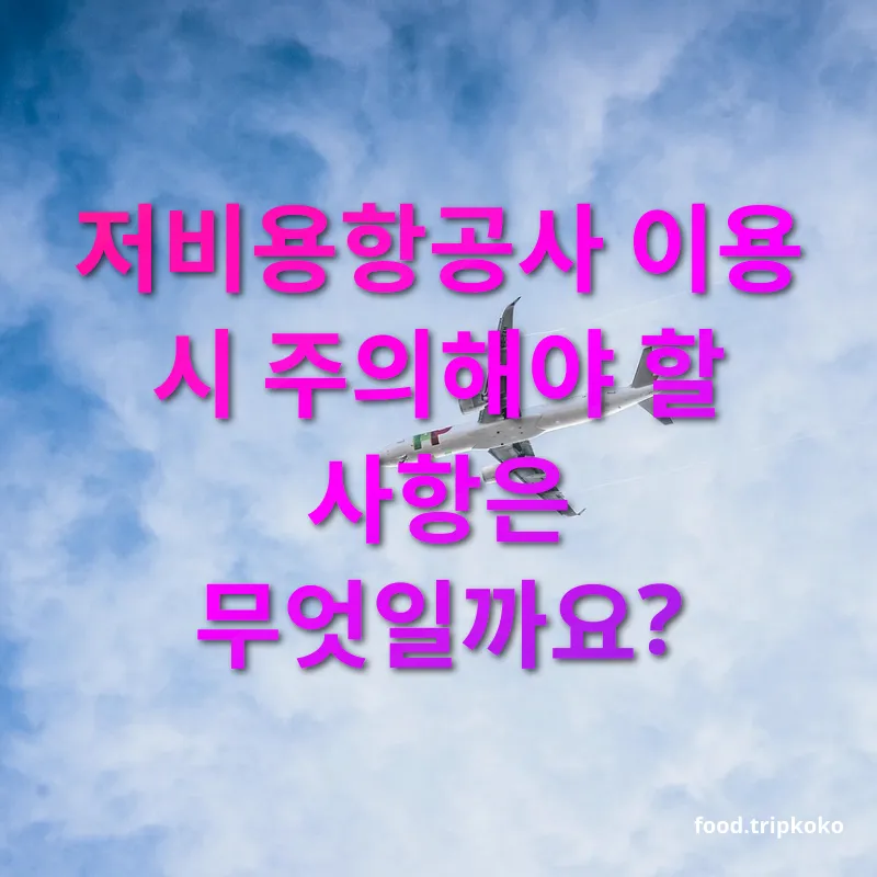 항공 예약 초과 - 저비용항공사 이용 시 주의해야 할 사항은 무엇일까요? 항공 예약 초과 저비용항공사 이용 시 주의해야 할 사항은 무엇일까요? 관련 이미지