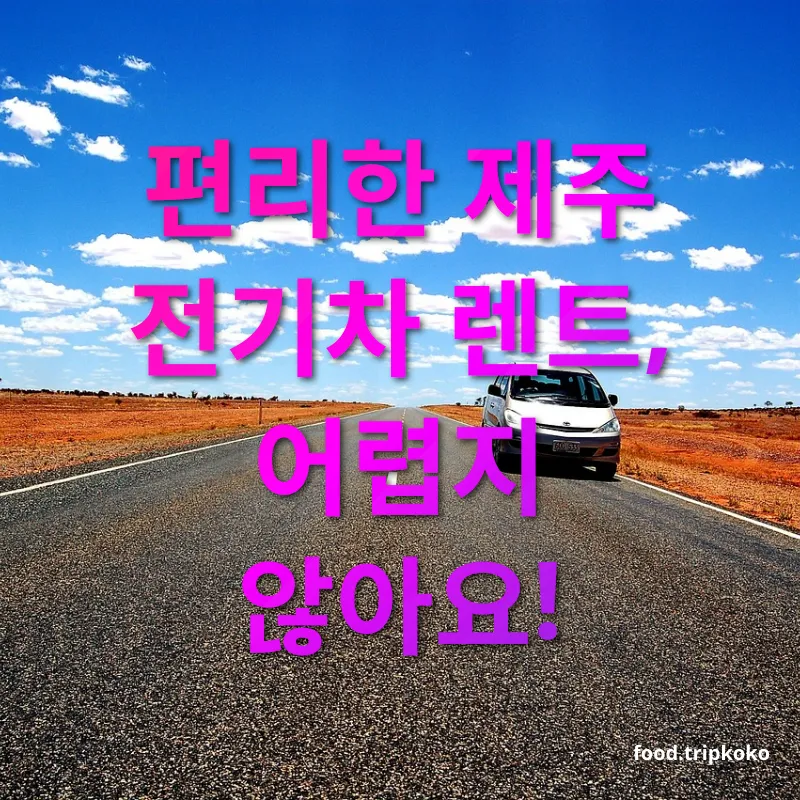 전기차 렌트 편리한 제주 전기차 렌트, 어렵지 않아요! 관련 이미지