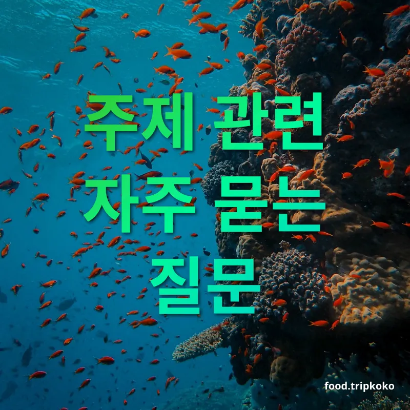 스쿠버다이빙 자격증 - 주제 관련 자주 묻는 질문 스쿠버다이빙 자격증 주제 관련 자주 묻는 질문 관련 이미지