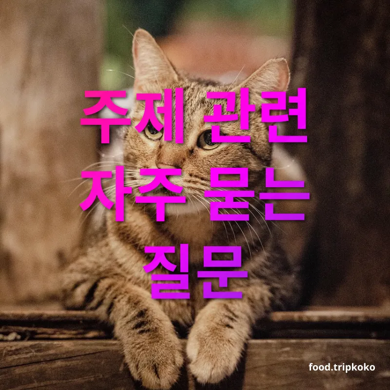 반려동물 여행 - 주제 관련 자주 묻는 질문 반려동물 여행 주제 관련 자주 묻는 질문 관련 이미지