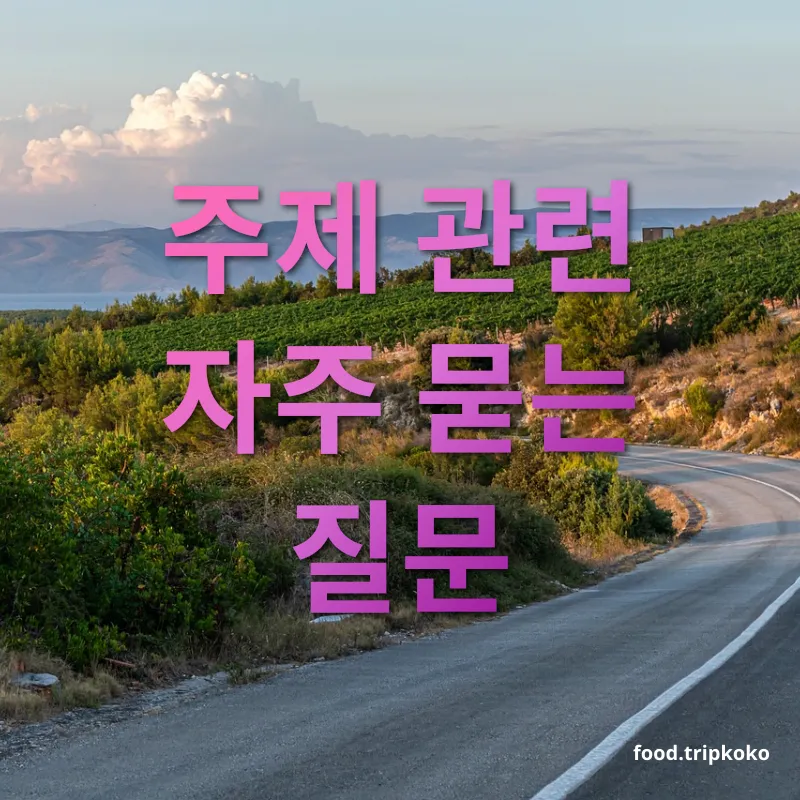 와인 여행 주제 관련 자주 묻는 질문 관련 이미지