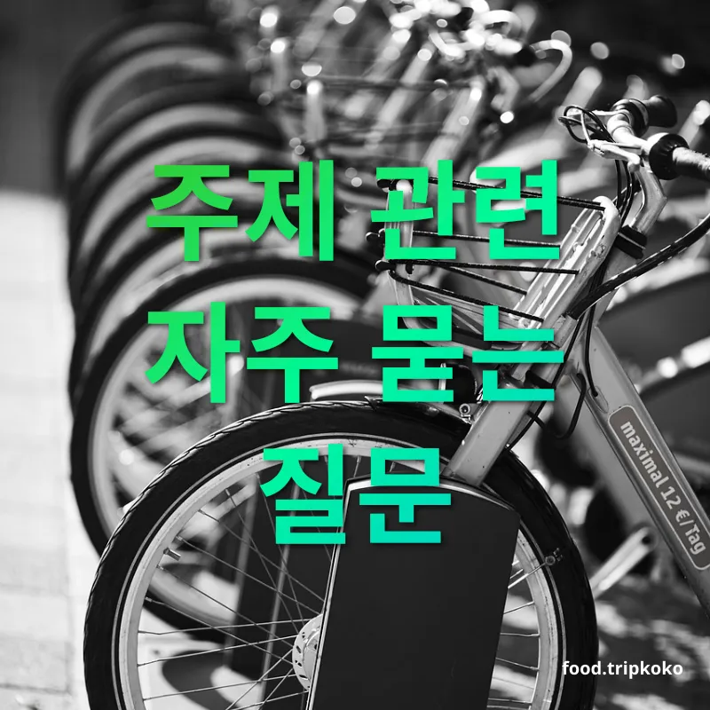 전기차 렌트 주제 관련 자주 묻는 질문 관련 이미지