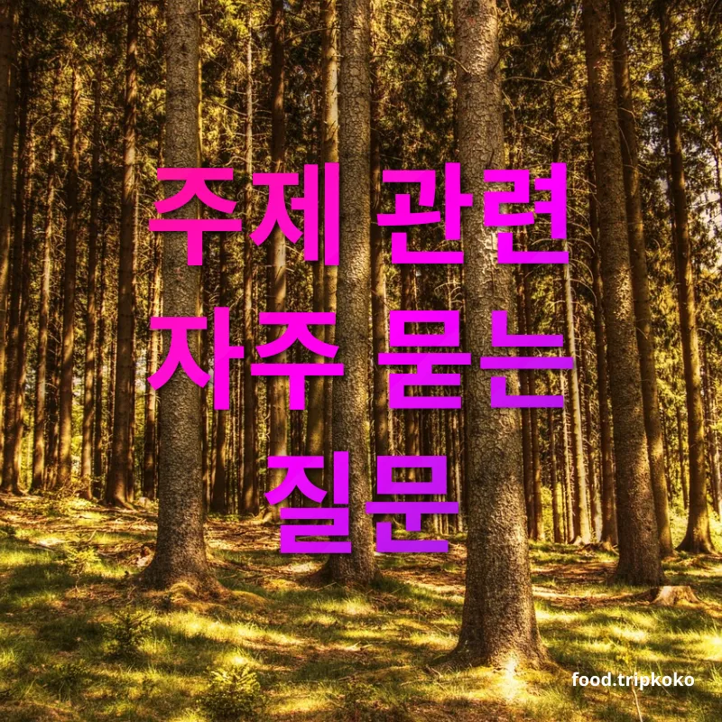 여행지 우정 주제 관련 자주 묻는 질문 관련 이미지