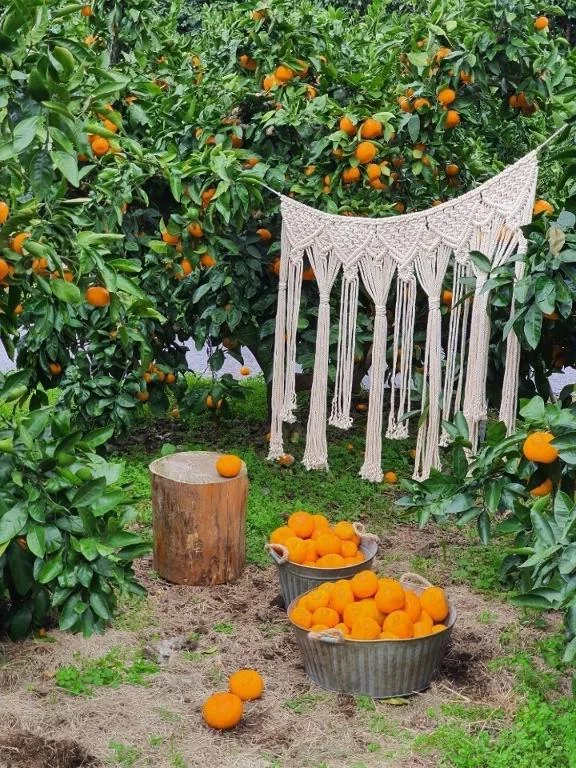 제주 대흘리에 펜션 호텔 상세 정보 및 리뷰 호텔 이미지