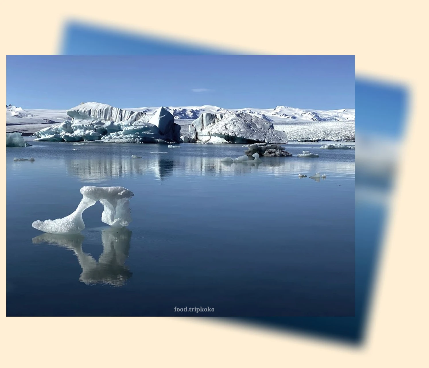 남극 동물 - 남극 여행의 특별함 상세 정보 남극 동물 남극 여행의 특별함 상세 설명 이미지