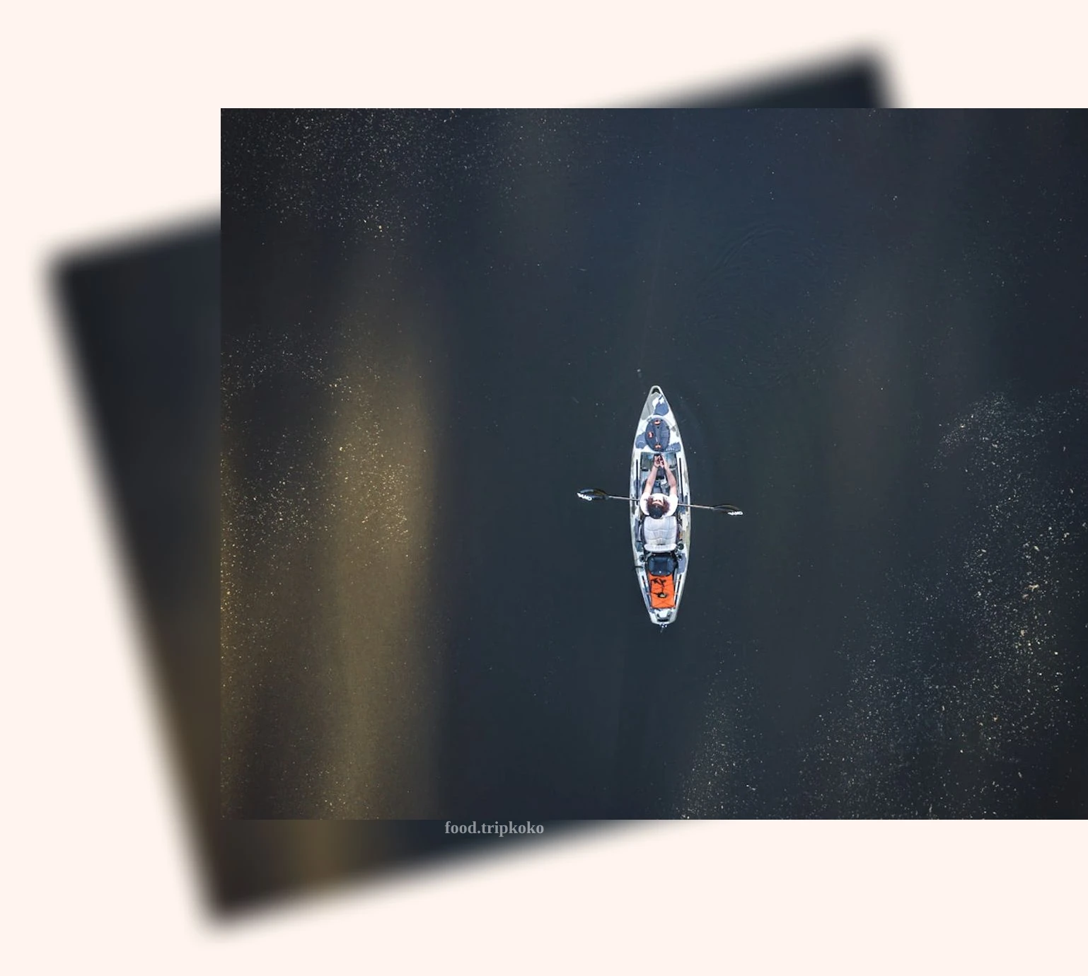 스쿠버다이빙 자격증 - 자유롭고 즐거운 PADI 어드밴스드 스쿠버다이빙 상세 정보 스쿠버다이빙 자격증 자유롭고 즐거운 PADI 어드밴스드 스쿠버다이빙 상세 설명 이미지