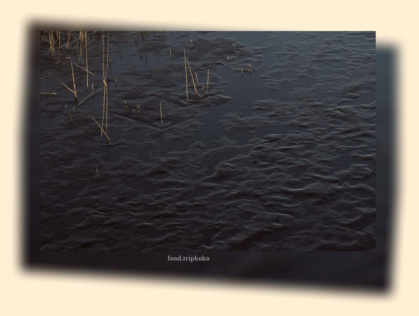 스쿠버다이빙 자격증 - 40m까지 자유롭게 즐기는 수중 세계 상세 정보 스쿠버다이빙 자격증 40m까지 자유롭게 즐기는 수중 세계 상세 설명 이미지